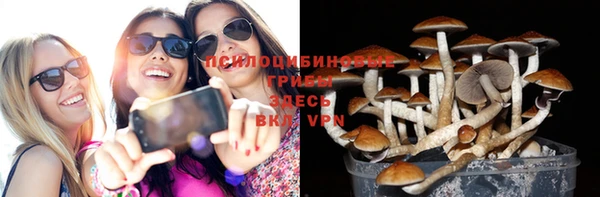 PSILOCYBIN Белоозёрский